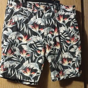 American Eagle Outfitters Tropical Print Men's Shorts